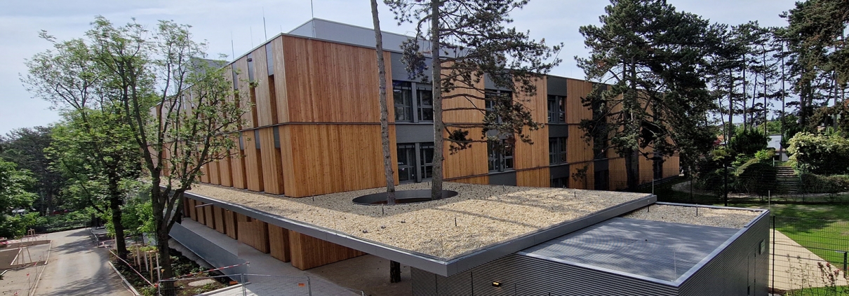 Zwei Schwarzföhren wachsen durch eine eigens errichtete Öffnung im Vordach des Neubaus für die 3. Psychiatrische Abteilung