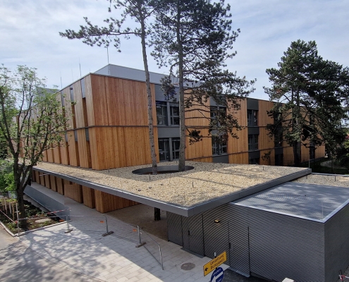 Zwei Schwarzföhren wachsen durch eine eigens errichtete Öffnung im Vordach des Neubaus für die 3. Psychiatrische Abteilung
