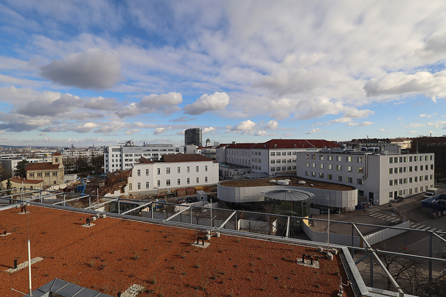 Abbrucharbeiten in der Klinik Favoriten